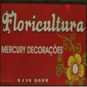 Mercury Decorações Floricultura