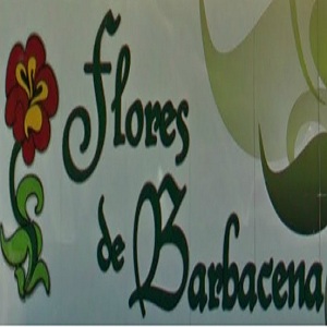 Flores de Barbacena 